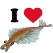 Anomalocaris fan club